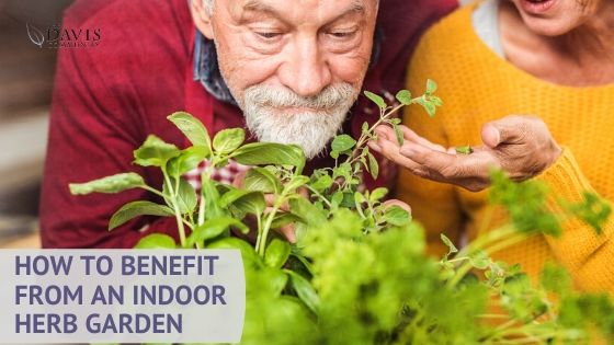 You can begin your own indoor herb garden today!